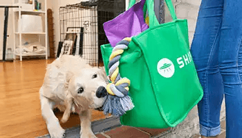 Pet supplies outlet delivered