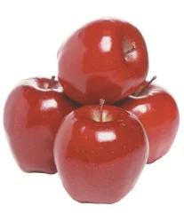 Red Premium Washington Apples