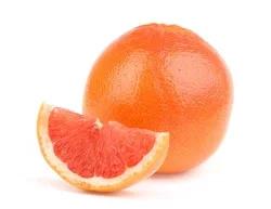 Grapefruit Red Florida