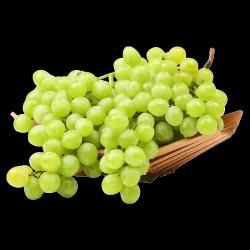 Seedless Green Mini Grapes