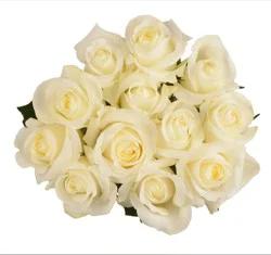 Bloom Haus Dozen Rose Bunch - White