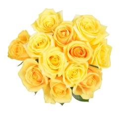 Bloom Haus Dozen Rose Bunch - Yellow