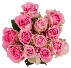 Bloom Haus Dozen Rose Bunch - Pink