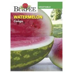 Burpee Watermelon Congo Seeds
