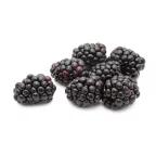 Southern Sun Blackberries - Half Dry Pint
