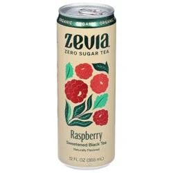 Zevia Sweetened Organic Raspberry Black Tea 12 fl oz
