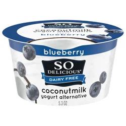 So Delicious Dairy Free Blueberry Coconut Milk Yogurt