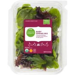 Simple Truth Organic Baby Spring Mix