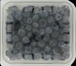 Blueberries -pint