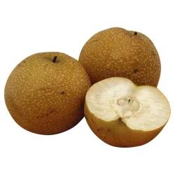 Brown Asian Pears