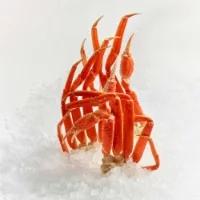 Wild Caught Snow Crab Cluster 5/8