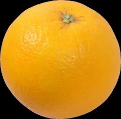 Produce Orange 1 ea