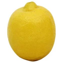 Lemon - Large