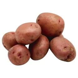 Potatoes - Red Potatoes