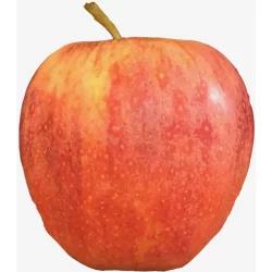 Apples - Gala - Small