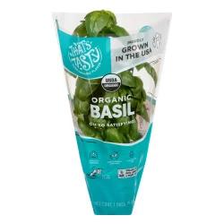 Living Organic Basil