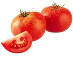 Westside's Plu Tomatoes Greenhouse