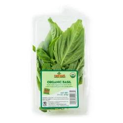 Melissa's Organic Basil