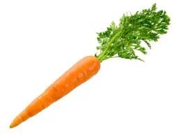 Carrots Whole