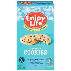Enjoy Life Cookie Crnchy Choc Chip