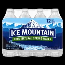 ICE MOUNTAIN Brand 100% Natural Spring Water, 16.9-ounce bottles  (Pack of 12)