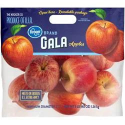 Gala Apples Bag