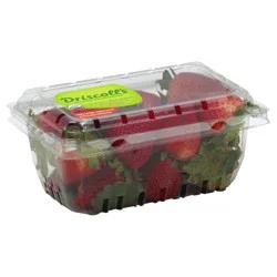 Well-Pict Strawberries, 16 oz, organic