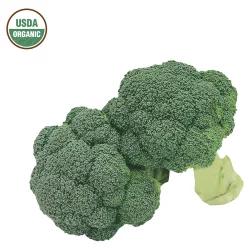 Cal-Organic Farms Organic Broccoli