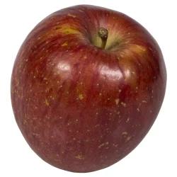Fuji Apples- Fuji Organic