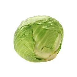Organic - Cabbage - Green