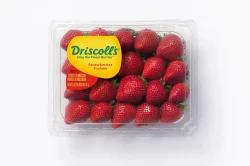 Driscoll's Fresh Strawberries, Conventional