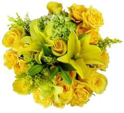 BLOOM HAUS Enchanted Yellow Rose Boquet