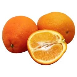 Minneola Tangerines