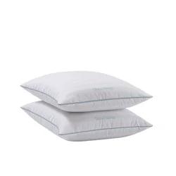 Allied Home Llc Grand Haven Dream Surround Pillow, 2-Pack