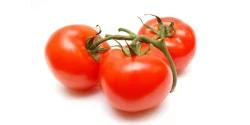 Missouri Homegrown Tomatoes
