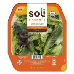 Soli Organic Spring Mix Lettuce Blend - 4oz
