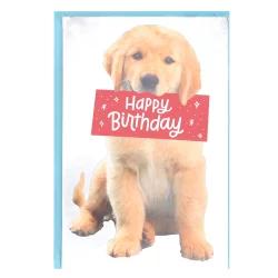 American Greetings Puppy Birthday Card