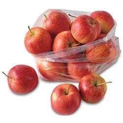 Evans Fruit Gala Apples Apple Bag Gala