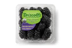 Driscoll's Organic Blackberries