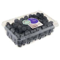 Driscoll's Blueberries Prepacked - 18 Oz
