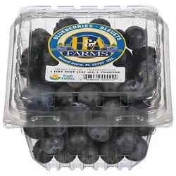 Naturipe Farms Blueberries Prepacked - 1 Pint