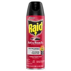 Raid Ant & Roach Killer With Outdoor Fresh Scent
