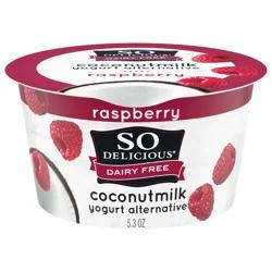 So Delicious Dairy Free Coconut Milk Yogurt Alternative, Raspberry, Vegan, Gluten Free, Non-GMO