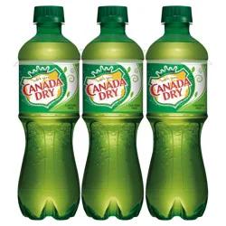 Canada Dry Ginger Ale bottles