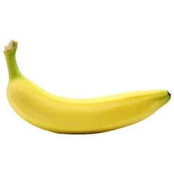 Equal Exchange Organic Bananas