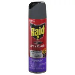 Raid Ant & Roach Killer 26, Lavender Scent
