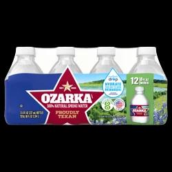OZARKA Brand 100% Natural Spring Water, 8-ounce mini plastic bottles (Pack of 12)