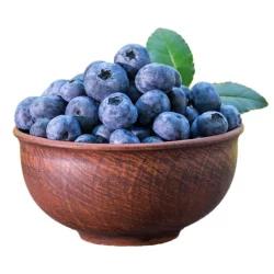 Family Tree Farms Blueberries