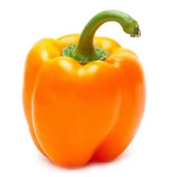 Organic Orange Bell Peper