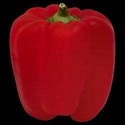 Red Hothouse Bell Pepper